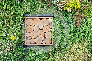 Insect hotel with butterflies and bees