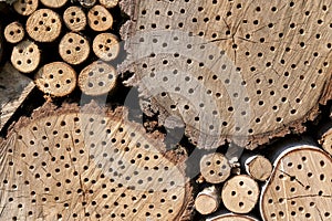 Insect Hotel