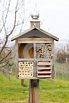 Insect hotel house in the free nature and garden