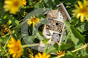 Insect hotel house in garden