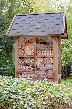 Insect hotel house in garden