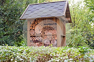 Insect hotel house in garden