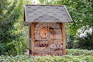 Insect hotel house in garden