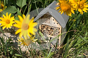 Insect hotel house in garden