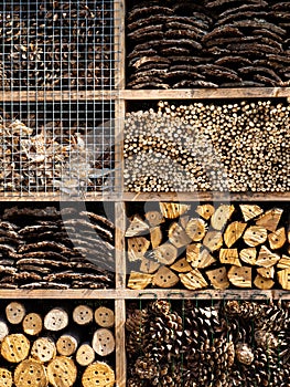 Insect hotel, house made from wood in garden to protect insect