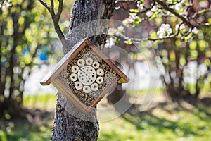 Insect hotel or house on tree in spring