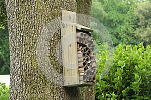 A insect hotel made from old wood and cut bamboo hanging from a tree in the woods. Many varieties of insects are attracted to it