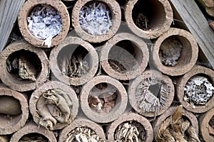 Insect hotel offering nest places