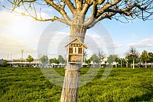 Insect hotel . Insect hotel in park.