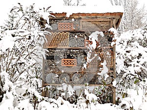 Insect hotel in snowy winter scenery
