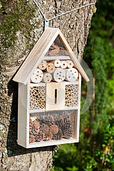 Insect hotel photo