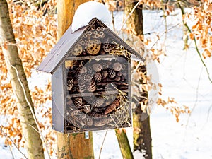 Insect hotel on tree in winter time