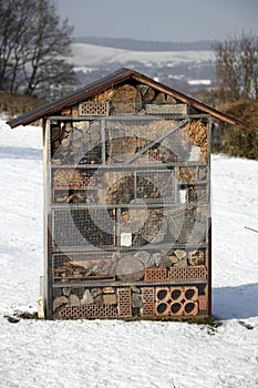 Insect hotel in winter