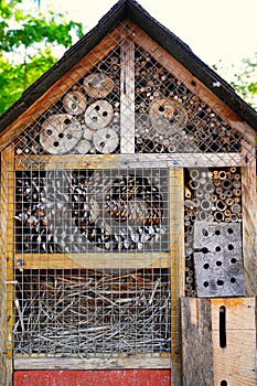 insect hotel. wooden insect house hanging from tree