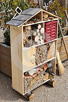 Insect house