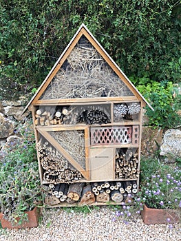 Insect house photo