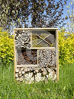 Insect house or dormitory for bugs, beetles, wasps, bumblebees, made of pipes, cones, twigs, perforated hemp for environmental