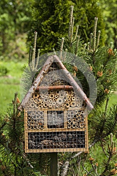 Insect house - hotel