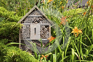 Insect house - hotel in a summer garden