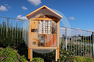 insect house,