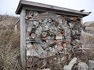 Insect house