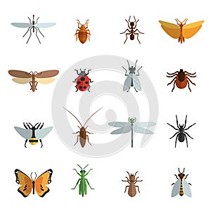 Insect Icon Flat