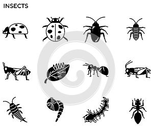 Insect icon photo