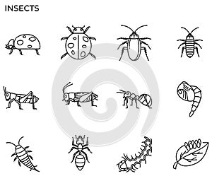 Insect icon photo