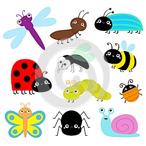 Insect icon set. Lady bug Caterpillar Butterfly Bee Beetle Spider Fly Snail Dragonfly Ant Lady bird. Cute bugs. Cartoon kawaii