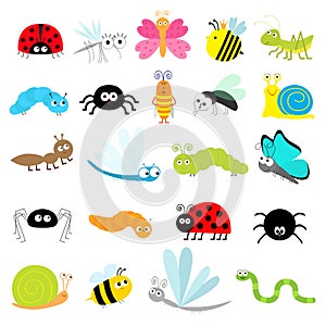 Insect icon set. Lady bug Mosquito Butterfly Bee Grasshopper Beetle Caterpillar Spider Cockroach Fly Snail Dragonfly Ant Lady bird