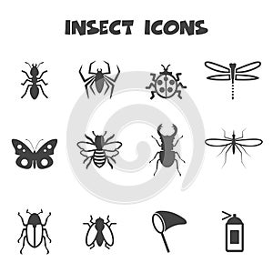 Insectos iconos 
