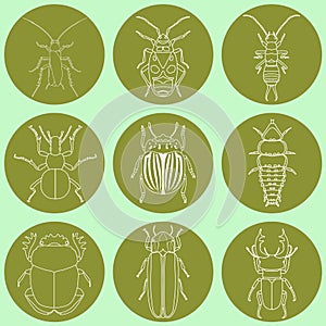 Insect icons set.