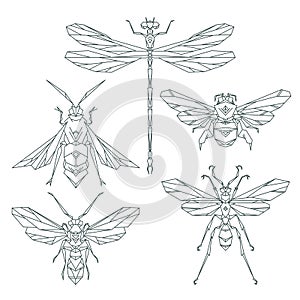 Insect icons, vector set. Abstract triangular style. bee, bumble bee , dragonfly, wasp.