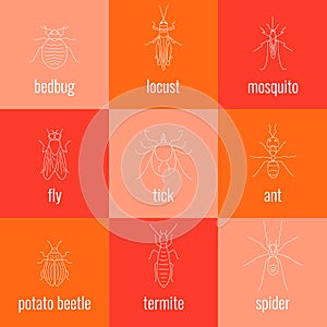 Insect line icon set