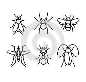 Insect lines icon vector illustration