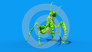 Insect Mantis Dies Front Blue Screen 3D Rendering Animation