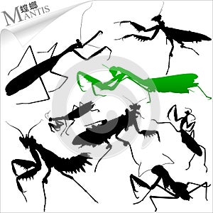 Vector Insect-Mantis Silhouette