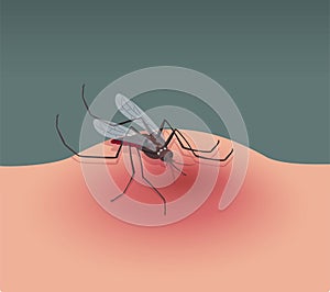 Insect mosquito bite. Malaria symbol. Red blood. Nature gnat character. Animal with sting. Fly bug. Illness transmission
