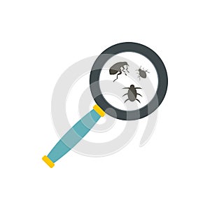 Insect parasites under magnifying glass icon