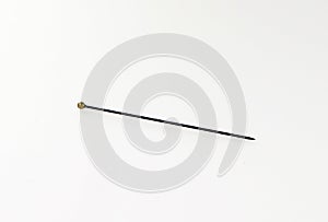 Insect pin isolated on white, special needle for pricking insects for entomological collections