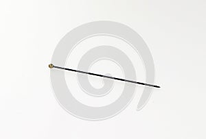 Insect pin isolated on white, special needle for pricking insects for entomological collections photo