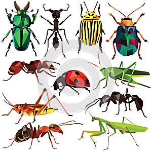 Insect set