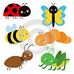Insect set. Ant, bee, bumblebee, grasshopper, caterpillar, ladybug ladybird, butterfly, lady bug. Cute cartoon funny kawaii baby