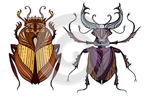 Insect set in color with a tribal pattern.