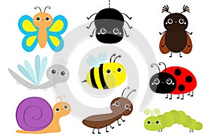 Insect set. Ladybug ladybird, beetle, dragonfly, green caterpillar, ant, butterfly, spider, honey bee, snail. Cute cartoon kawaii