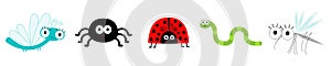 Insect set line. Ladybug, dragonfly, mosquito, spider and worm. Cute cartoon kawaii funny character. Flat design. White background