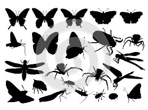 Insect silhouette