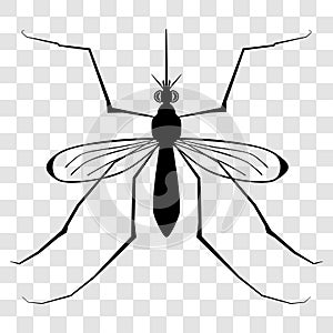 Insect silhouette. Insect. a realistic mosquito. Mosquito silhouette. gnat. midge. Eps 10