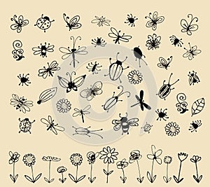 Insect sketch collection for your design