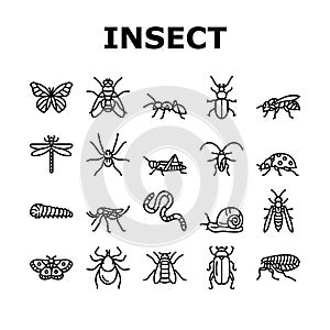 Insect, Spider And Bug Wildlife Icons Set Vector